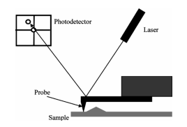 9.A] With neat diagram, explain the principle, construction and working of Atomic Force Microscope.